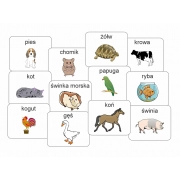 Zwierzęta domowe - piktogramy