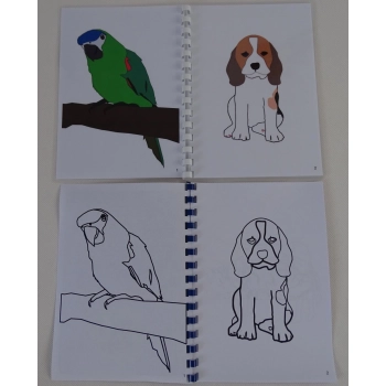 Nasi milusińscy zwierzęta w formie ilustracji - kolorowanka dla dzieci