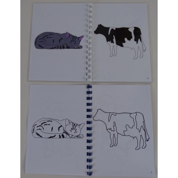 Nasi milusińscy zwierzęta w formie ilustracji - kolorowanka dla dzieci