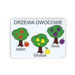 Drzewa owocowe - plansza demonstracyjna