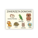 Zwierzęta domowe - plansza demonstracyjna