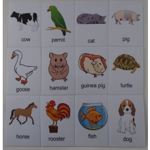Nazwy zwierząt w języku angielskim