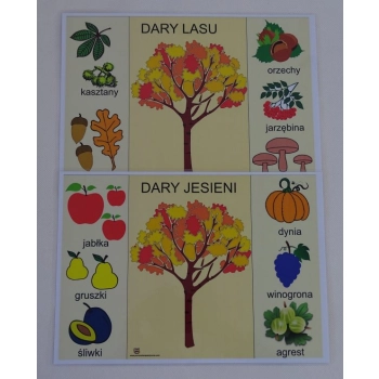 Dary jesieni i lasu - karty edukacyjne