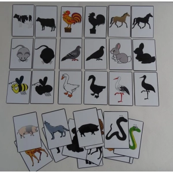 Zwierzęta cienie- karty edukacyjne dla dzieci