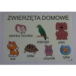 Zwierzęta domowe - plansza demonstracyjna